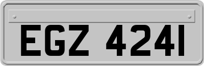 EGZ4241