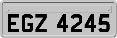 EGZ4245