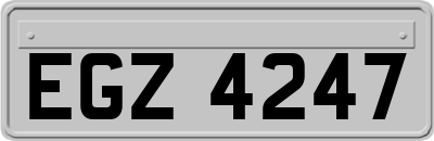 EGZ4247