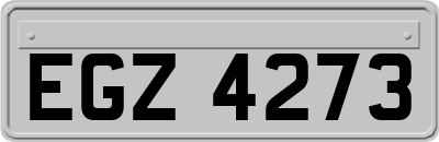 EGZ4273