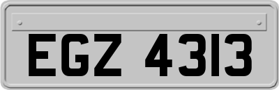 EGZ4313