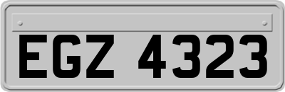 EGZ4323