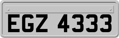 EGZ4333