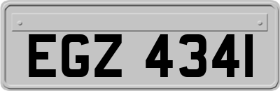EGZ4341