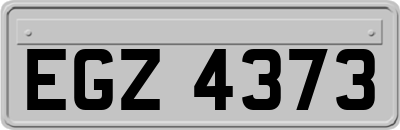EGZ4373