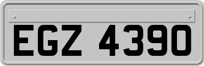 EGZ4390