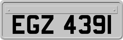EGZ4391