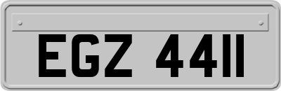 EGZ4411