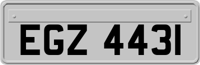 EGZ4431
