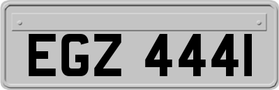 EGZ4441
