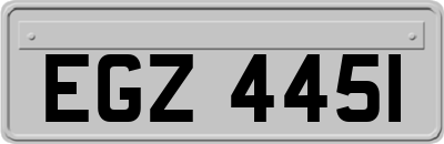 EGZ4451