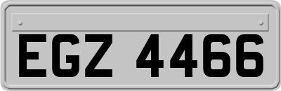 EGZ4466