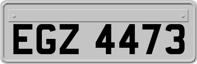 EGZ4473