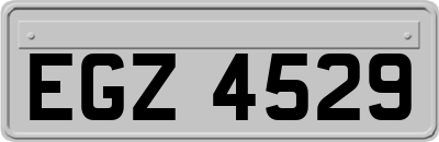 EGZ4529