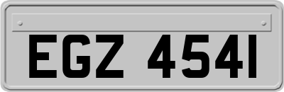 EGZ4541