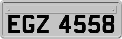 EGZ4558