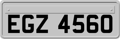 EGZ4560