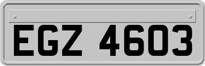 EGZ4603