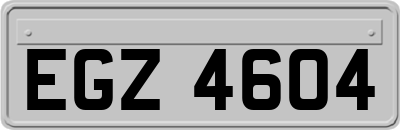 EGZ4604