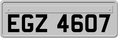 EGZ4607