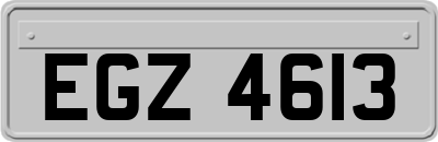 EGZ4613