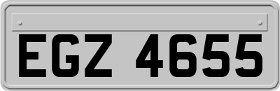 EGZ4655
