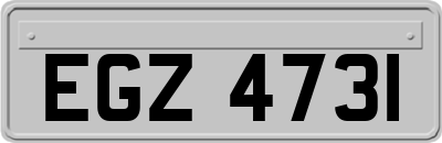 EGZ4731