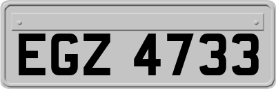 EGZ4733