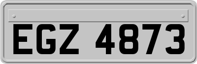 EGZ4873