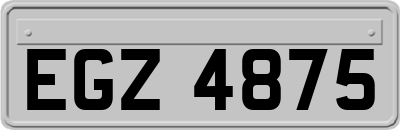 EGZ4875
