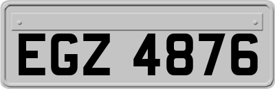EGZ4876