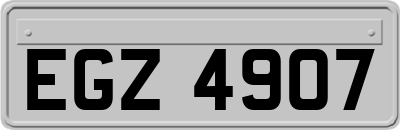 EGZ4907