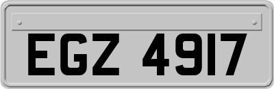 EGZ4917
