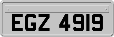 EGZ4919