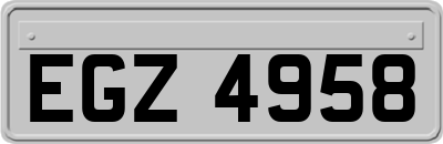 EGZ4958