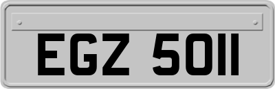 EGZ5011
