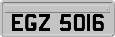 EGZ5016