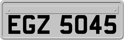 EGZ5045