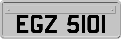 EGZ5101