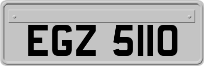 EGZ5110