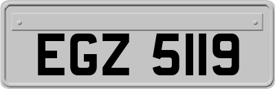 EGZ5119