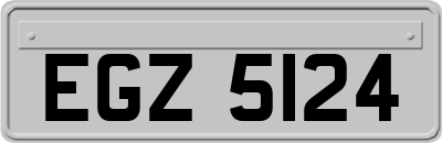 EGZ5124