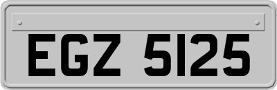 EGZ5125