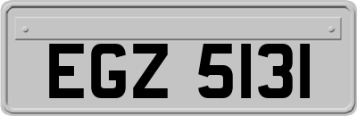 EGZ5131