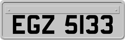 EGZ5133