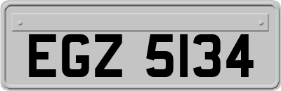 EGZ5134