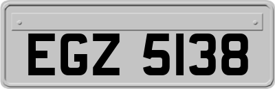 EGZ5138