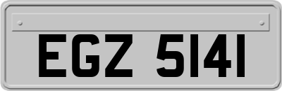 EGZ5141