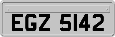 EGZ5142