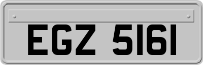 EGZ5161